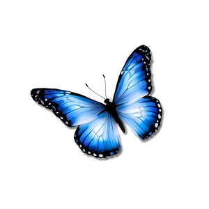 Blue And White Butterflies Png 66 PNG Image