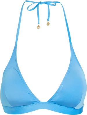 Blue Bikini Topwith Gold Charms PNG Image