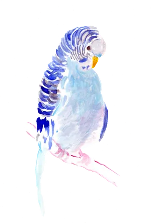 Blue Budgie Watercolor Artwork PNG Image