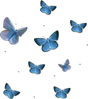 Blue Butterflies Pattern PNG Image