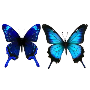 Blue Butterflies Png 28 PNG Image