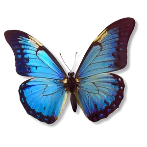 Blue Butterflies Png Rtw41 PNG Image