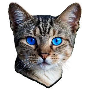 Blue-eyed Cat Picture Png Ojg31 PNG Image