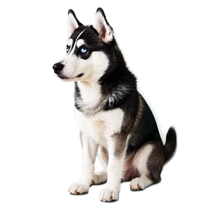 Blue-eyed Husky Png Hqm16 PNG Image