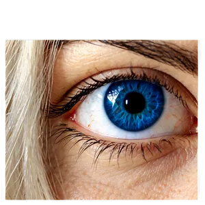 Blue Eyes Closeup Png Ram PNG Image