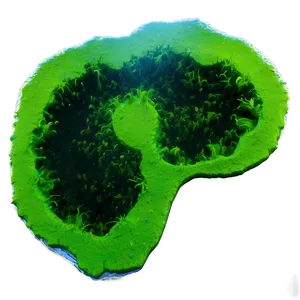 Blue-green Algae Picture Png 16 PNG Image