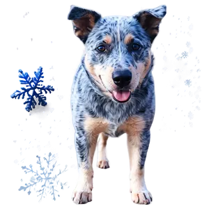 Blue Heeler In Snow Png Apc PNG Image