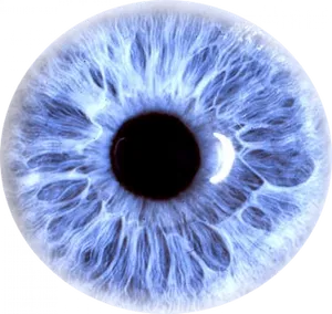 Blue Human Eye Closeup PNG Image