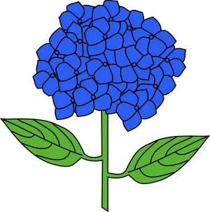 Blue Hydrangea Vector Illustration PNG Image