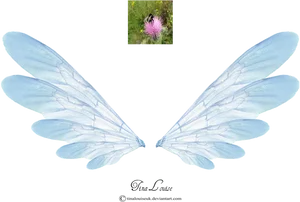 Blue Insect Wings Artistic Representation PNG Image