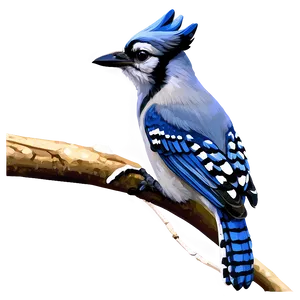 Blue Jay Close-up Png Tie PNG Image