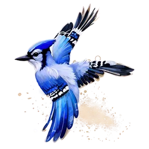 Blue Jay In Watercolor Splash Png Adc3 PNG Image