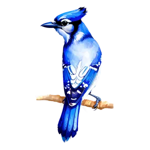 Blue Jay In Watercolor Splash Png Tsa PNG Image