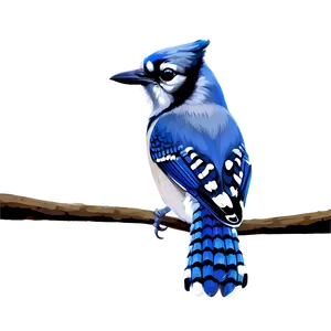 Blue Jay In Winter Scene Png 39 PNG Image