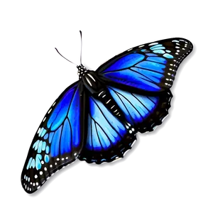 Blue Monarch Butterflies Png 55 PNG Image