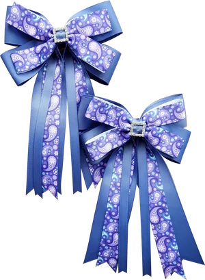 Blue Paisley Hair Bows PNG Image