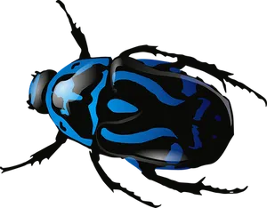 Blue Patterned Beetle Illustration PNG Image