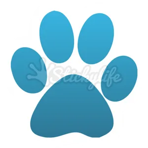 Blue Paw Print Graphic PNG Image