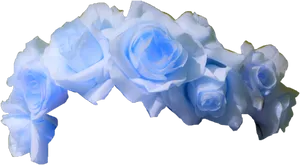 Blue Roses Transparent Background PNG Image