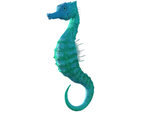 Blue Seahorse Profile PNG Image