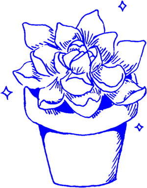 Blue Sketch Succulent Pot PNG Image