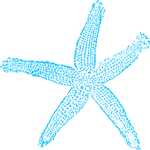 Blue Starfish Clipart Graphic PNG Image