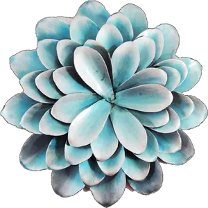 Blue Succulent Plant PNG Image