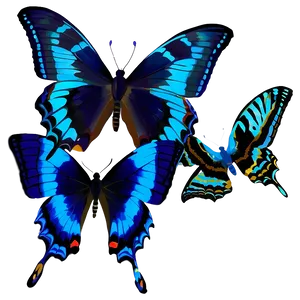 Blue Swallowtail Butterflies Png 06132024 PNG Image