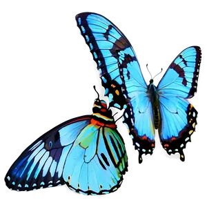 Blue Swallowtail Butterflies Png Qym PNG Image