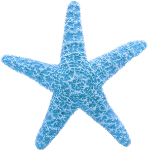 Blue Textured Starfish Clipart PNG Image