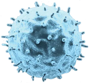 Blue Tinted Cancer Cell Micrograph PNG Image