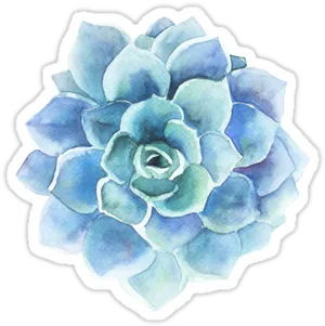 Blue Watercolor Succulent Artwork PNG Image