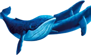 Blue Whale Cartoon Illustration PNG Image