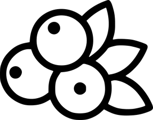 Blueberry Flower Line Art PNG Image