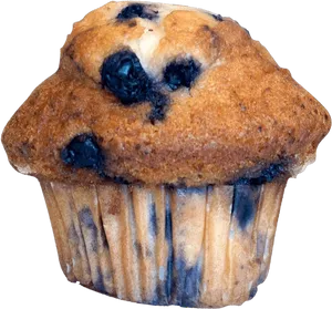 Blueberry Muffin Closeup PNG