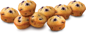 Blueberry Muffins Array PNG Image