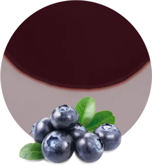 Blueberry Panna Cotta Dessert PNG Image