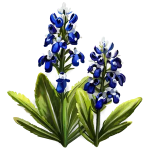 Bluebonnet By The River Png Iox PNG Image