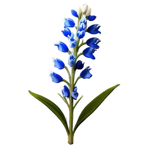 Bluebonnet Floral Pattern Png 3 PNG Image