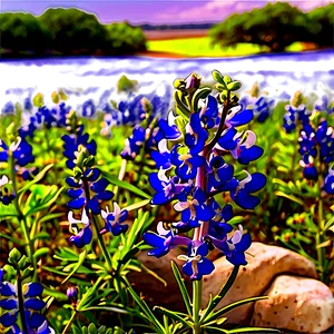 Bluebonnet Hill Country Png Esv PNG Image