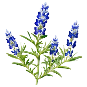 Bluebonnet Hill Country Png Fpb75 PNG Image