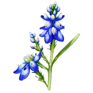 Bluebonnet With Dew Drops Png Otx36 PNG Image