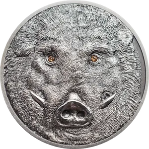 Boar Engraved Coin2018 PNG Image