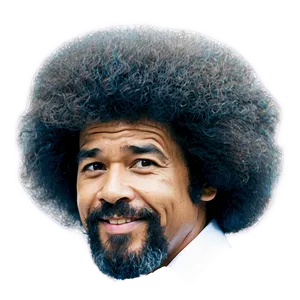 Bob Ross Afro Hair Png 1 PNG Image