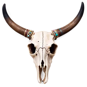 Boho Chic Cow Skull Png 06132024 PNG Image