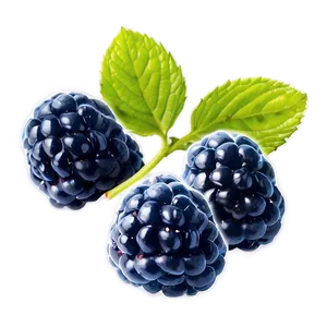 Bold Blue Raspberry Png Psb PNG Image