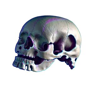 Bone Structure Png Bmq67 PNG Image