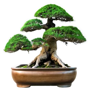 Bonsai Forest Scene Png 06252024 PNG Image