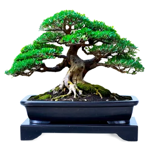 Bonsai Forest Scene Png 06252024 PNG Image