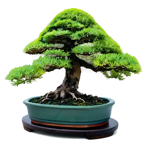 Bonsai Forest Scene Png Nch PNG Image